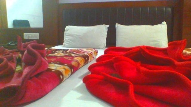 Отель Sahara International Deluxe Нью-Дели Номер фото